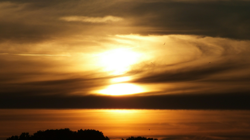    Victor Lisitsyn/Global Look Press/Globallookpress