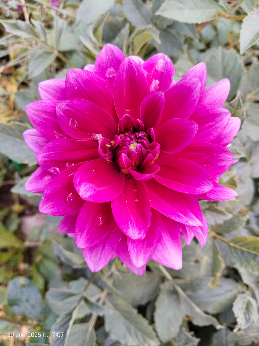 Фото из личного архива 