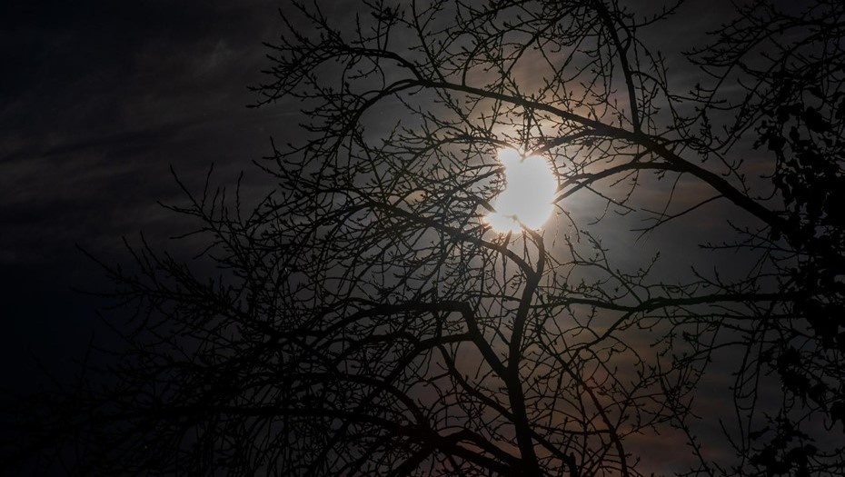    Автор фото: Ермохин Сергей