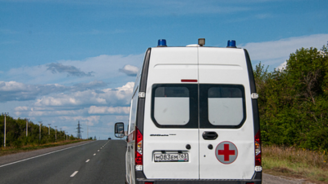    Svetlana Vozmilova/Globallookpress