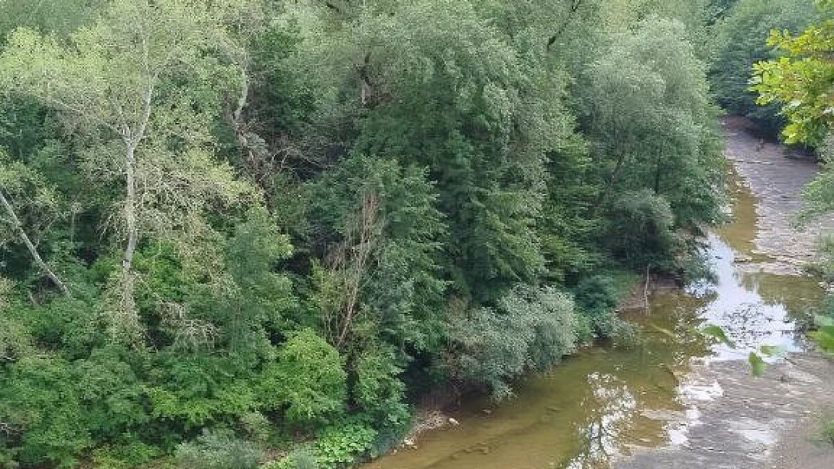    Фото: телеканал «Краснодар»