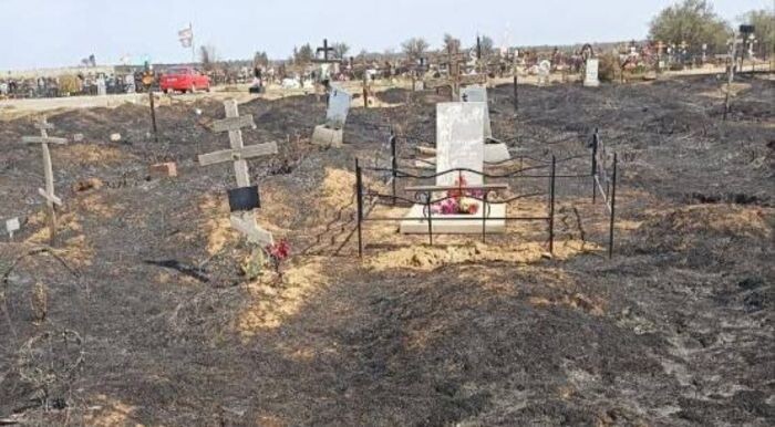 Иллюстрация: ТГ "Семикаракорск"