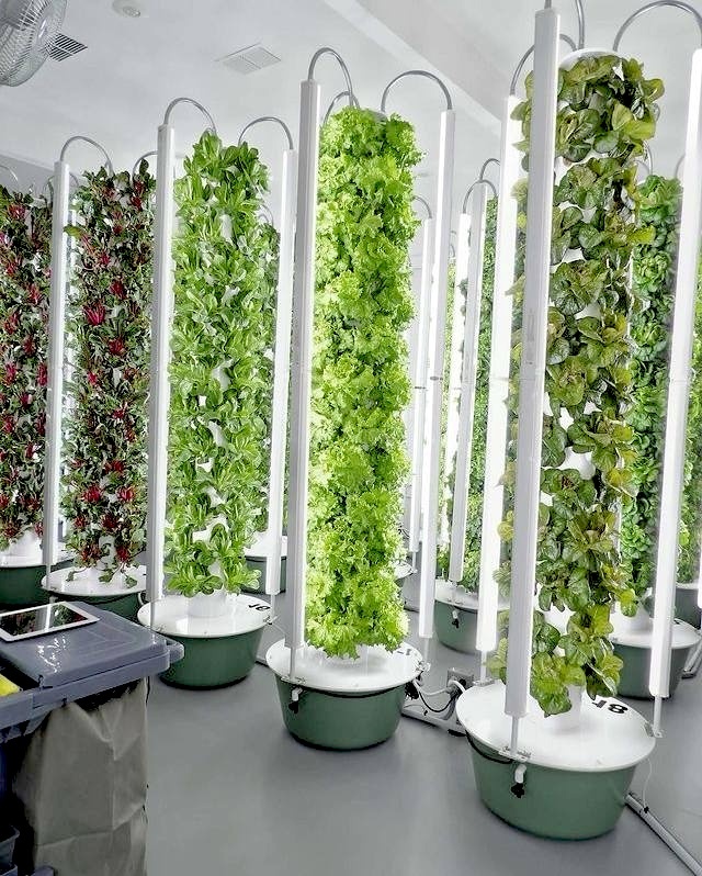 Гидропонная башня «АгроСфера», консультация о продукте +79998988143 wa/tg