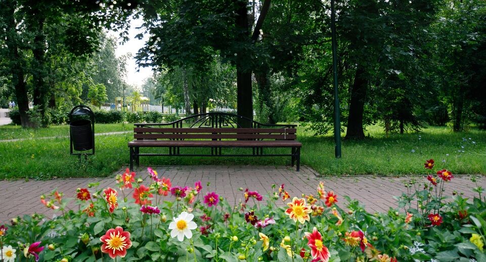    Медиасток.рф