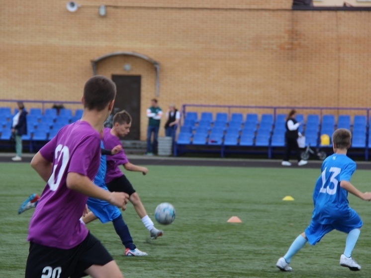     Фото: пресс-служба администрации Волховского района.