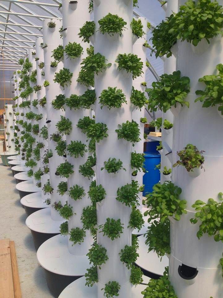 Гидропонные башни «АгроСфера», консультация по продукту +79998988143 wa/tg