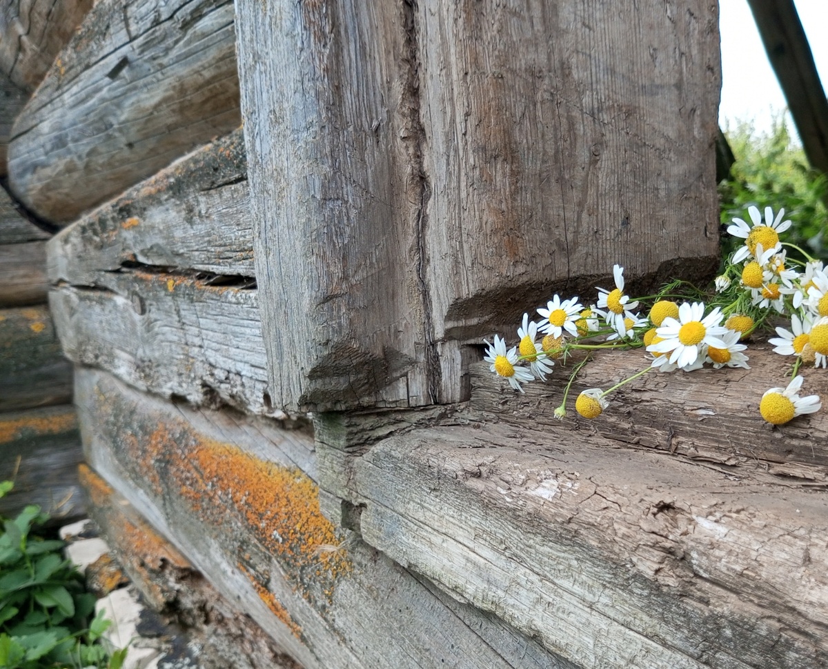 Старый дом. Сколько в нём забыто радости и слёз! Фото автора.
