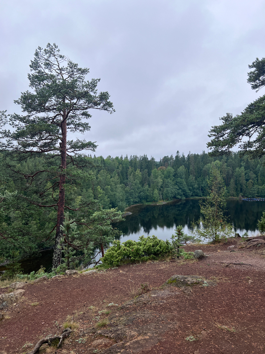 Виды с острова 