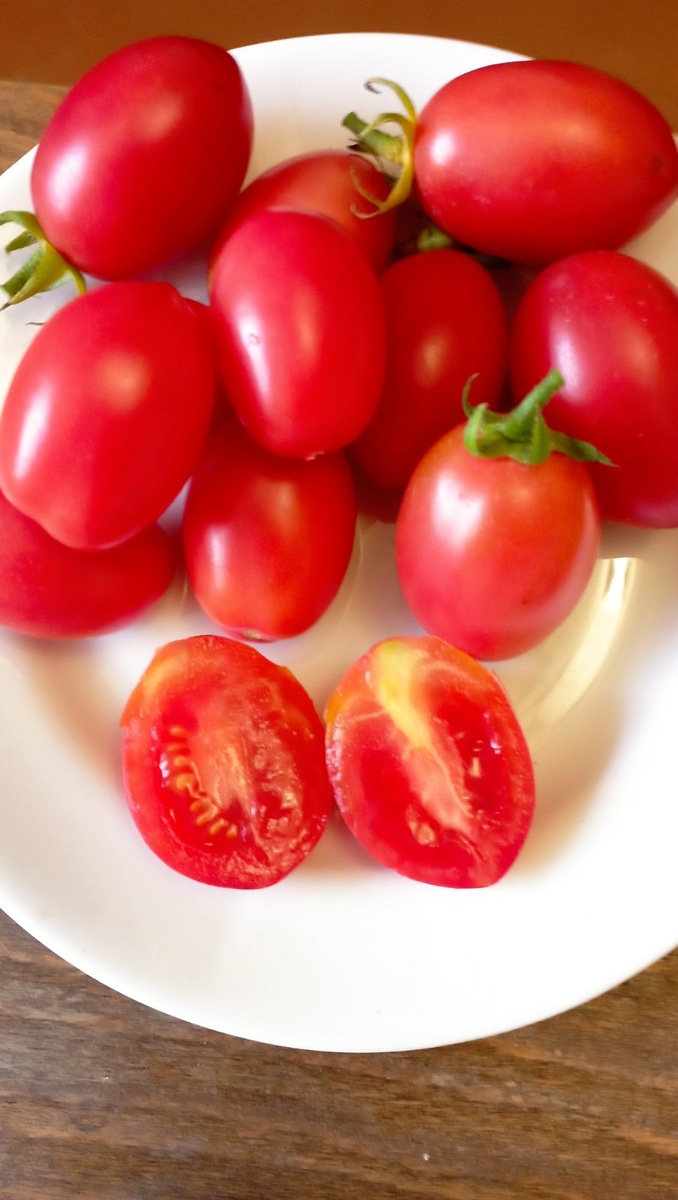 Томат "Чио-Чио-сан": и вкусный, и урожайный