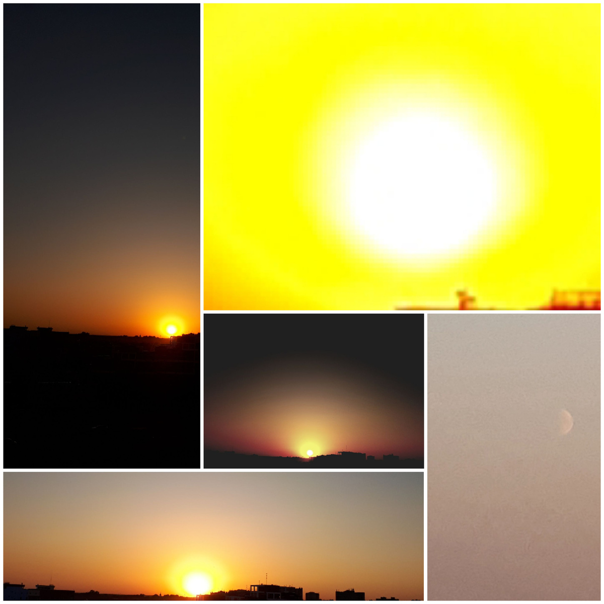 Коллаж автора 31.08.2025г.