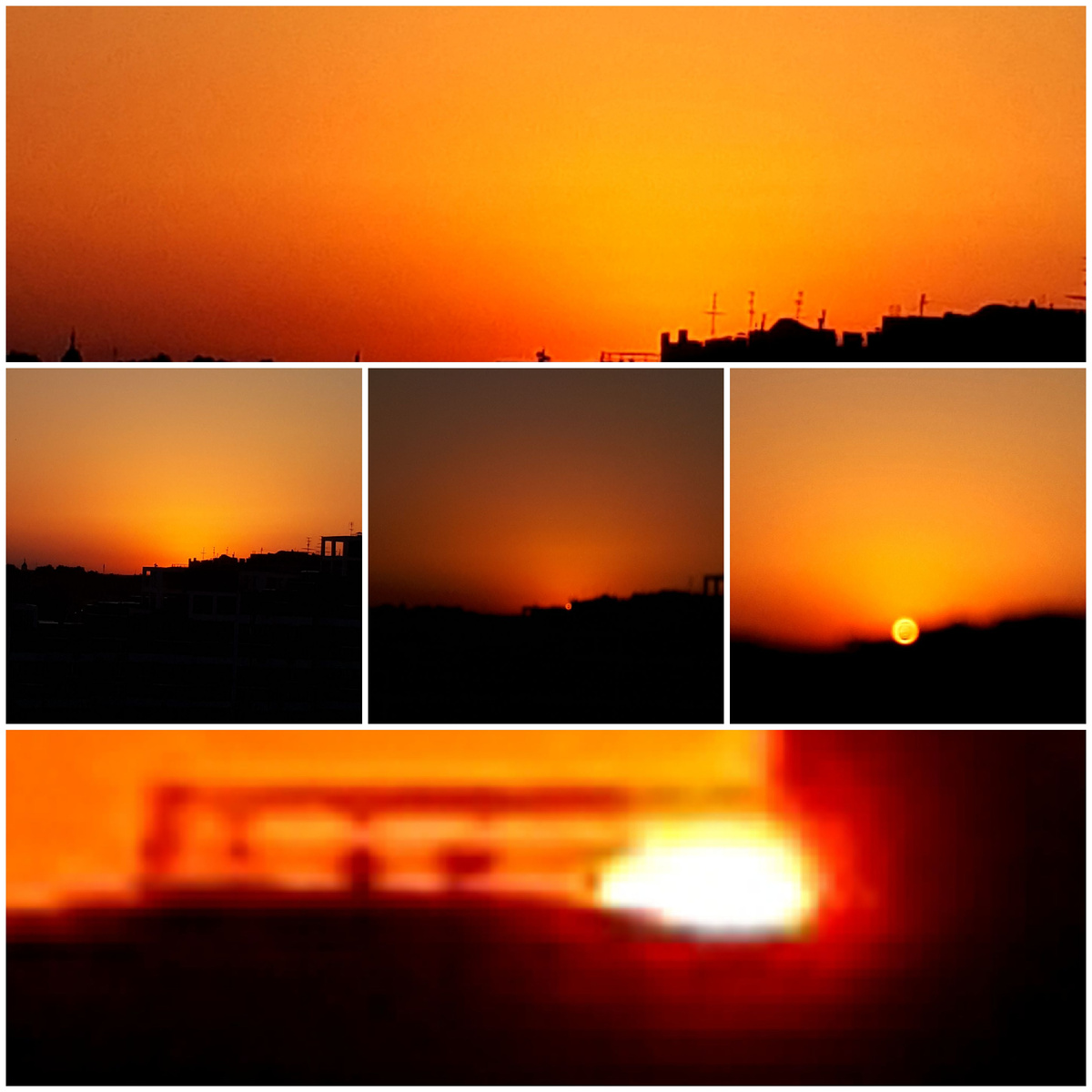 Коллаж автора 31.08.2025г.