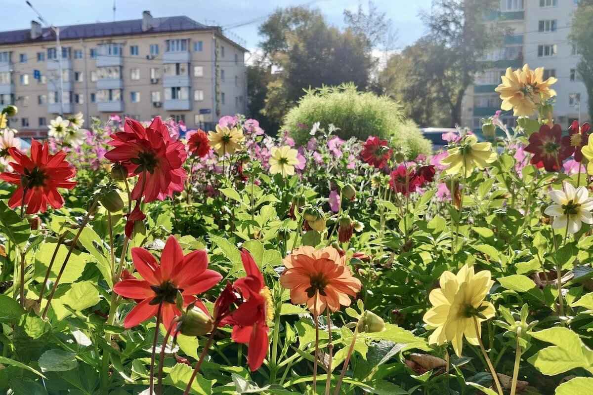 Фото: UfacityNews.ru