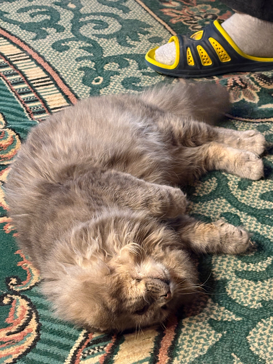 Устал я от праздников! Везде фото автора.