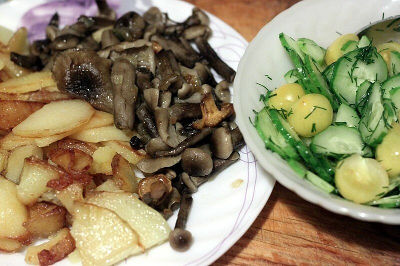 Яндекс Картинки. Жареные опята