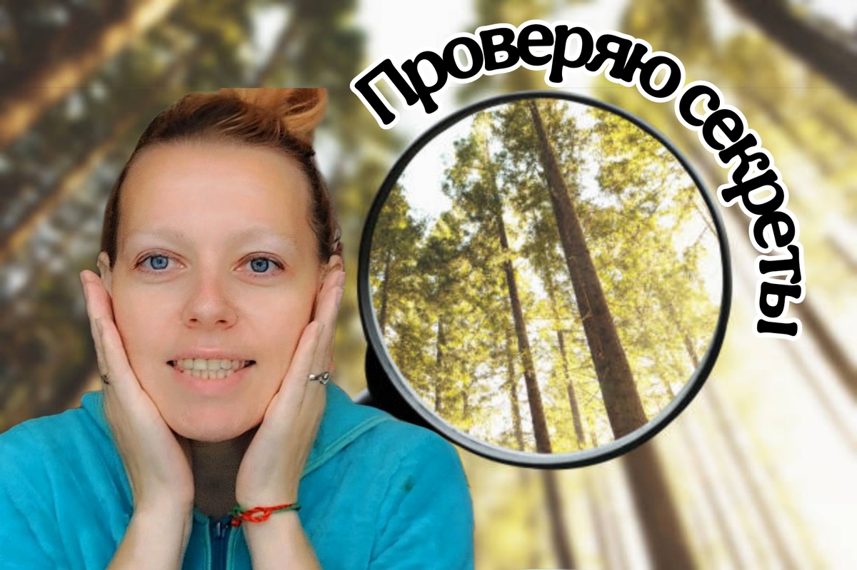 В мире блогинга 