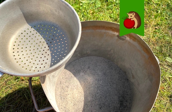 Зола: какие растения ее не любят и кого не стоит ей подкармливать