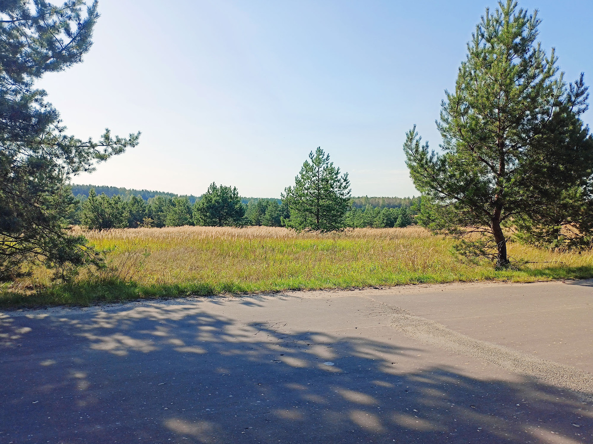 Вид на то самое поле