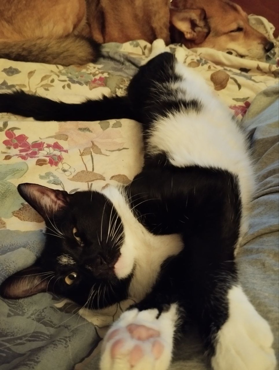 Ну, рассказывай, куратор!