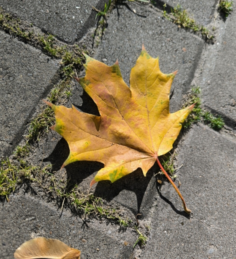 Фотографии в статье авторские