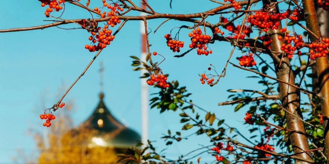 Встреча святыни: Сретение Владимирской иконы Божией Матери