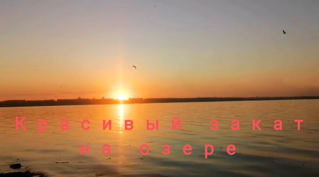 ✨💖✨💖✨💖✨💖✨