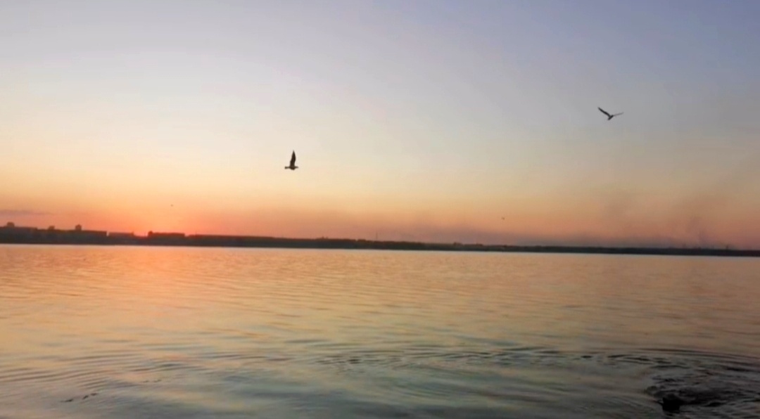 ✨💖✨💖✨💖✨💖✨