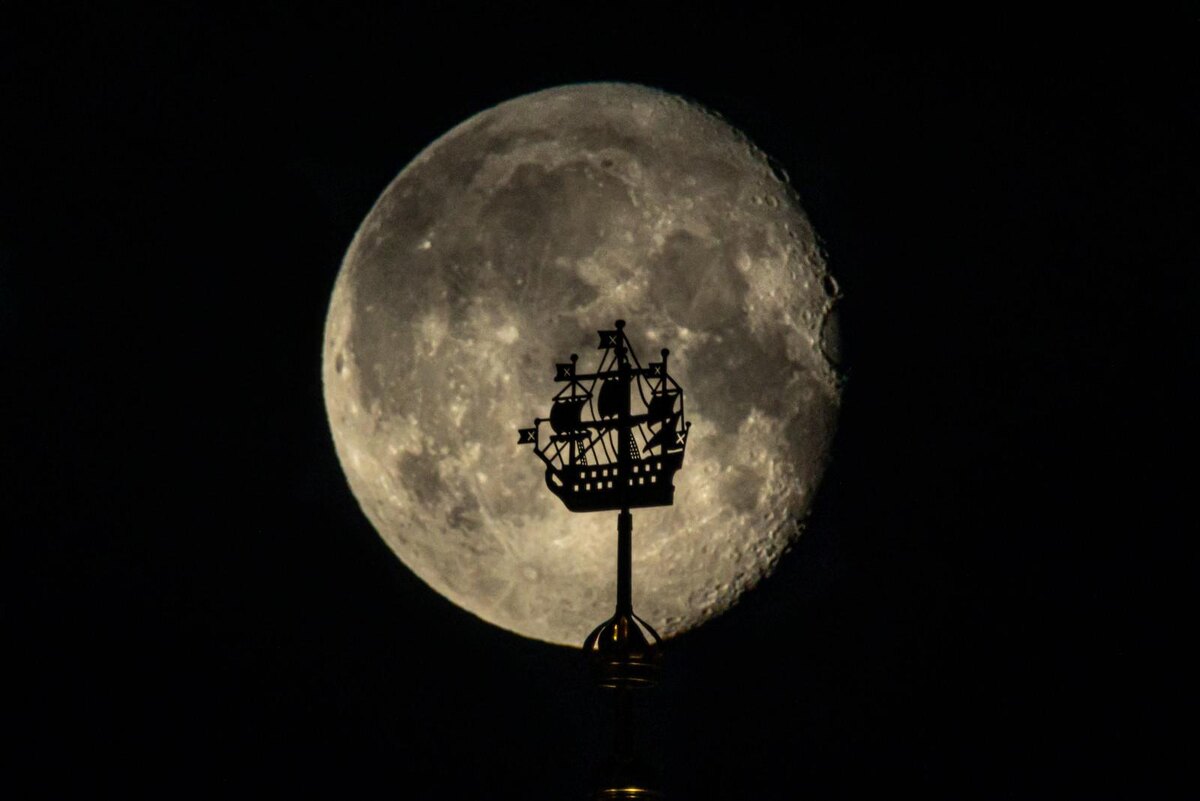    Фото: Дмитрий Фуфаев