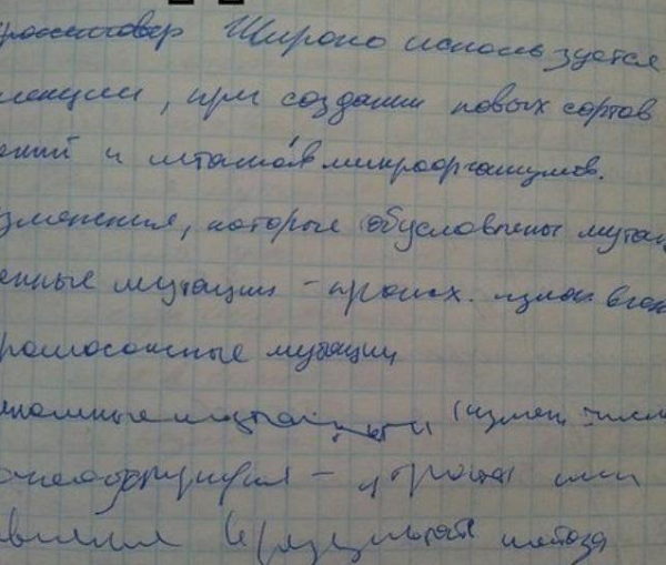 Примерно так  оно выглядело. Фото из открытых источников