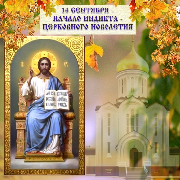 Владелец фото: ВКОНТАКТЕ