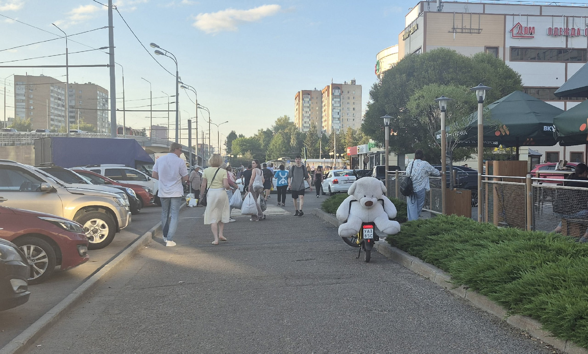 из архива - возле работы видела курьера с "пассажиром"