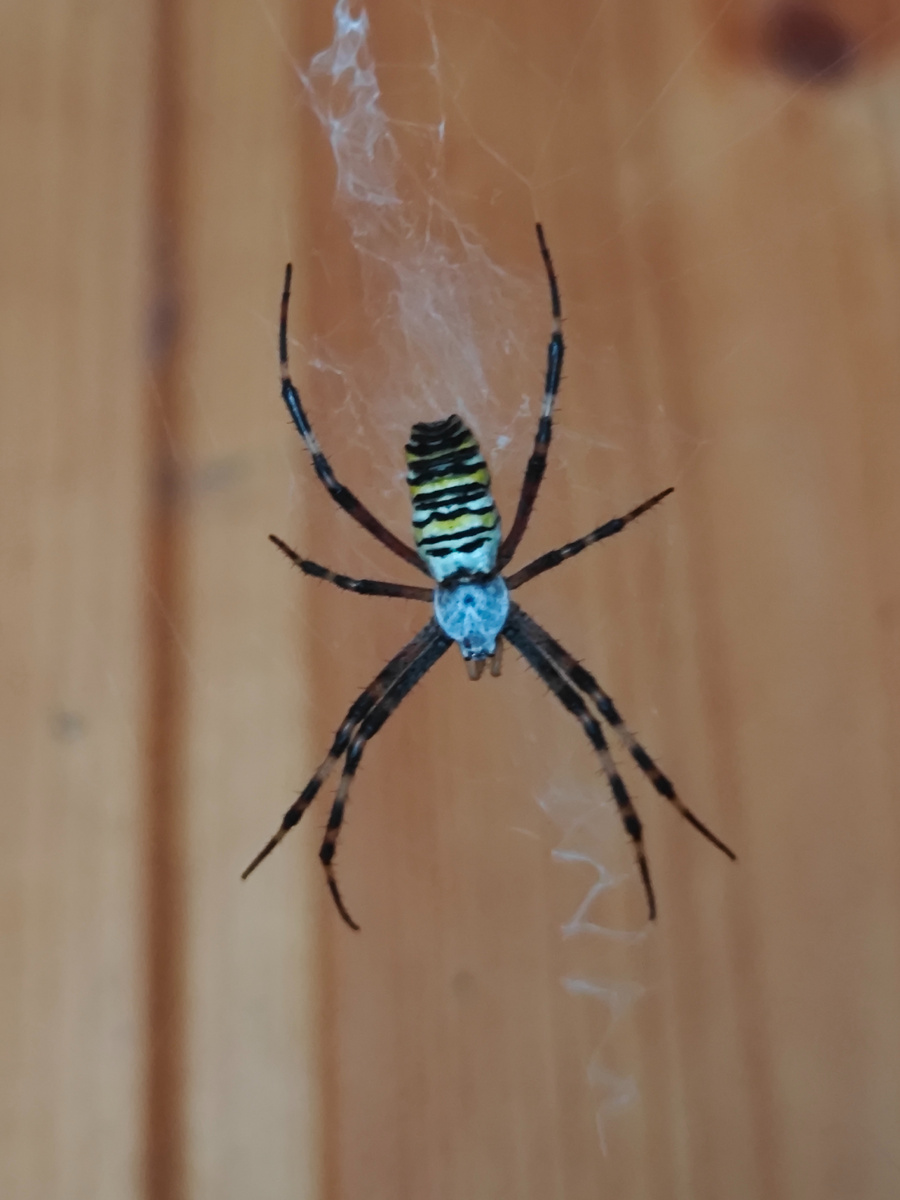 фото автора канала