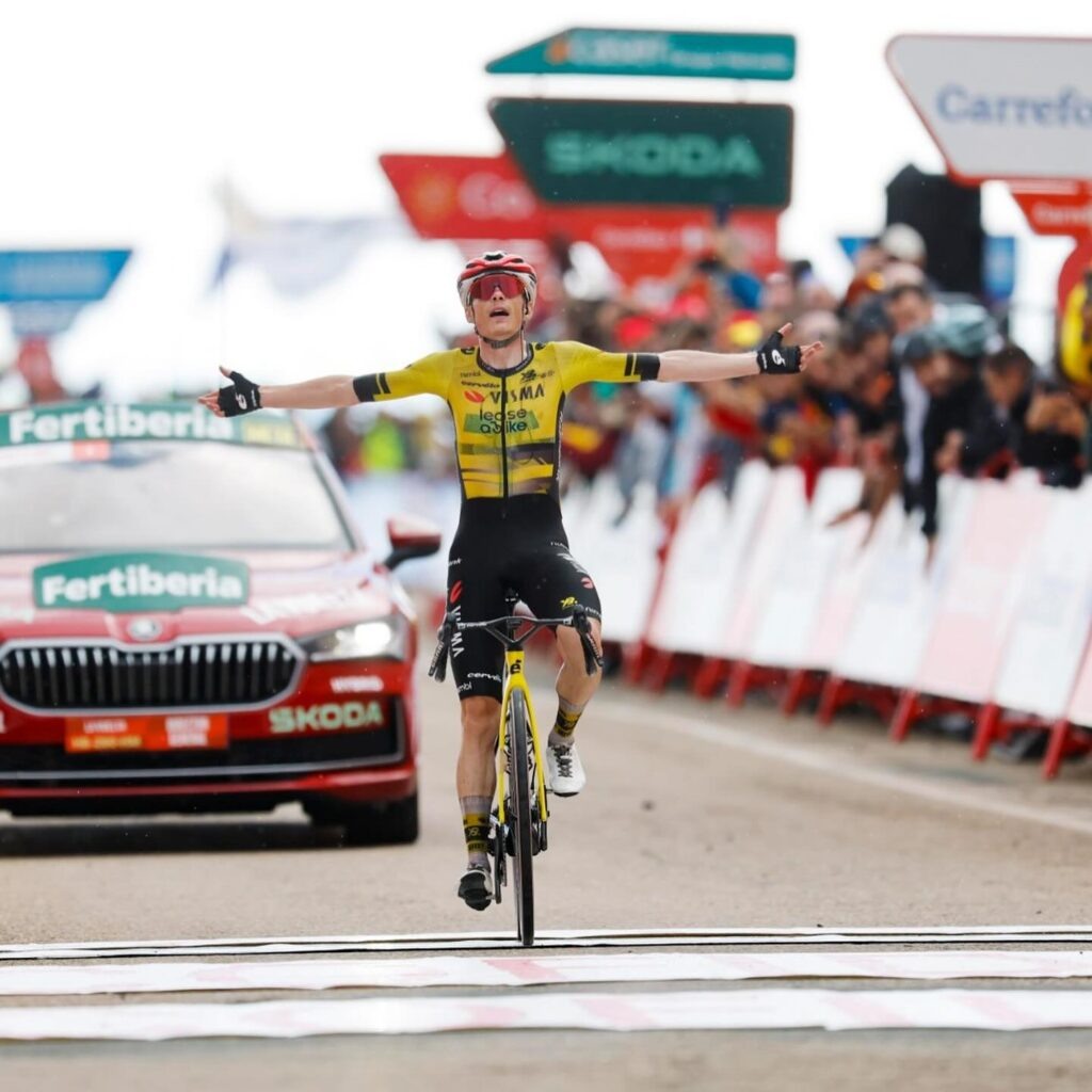    Йонас Вингегор