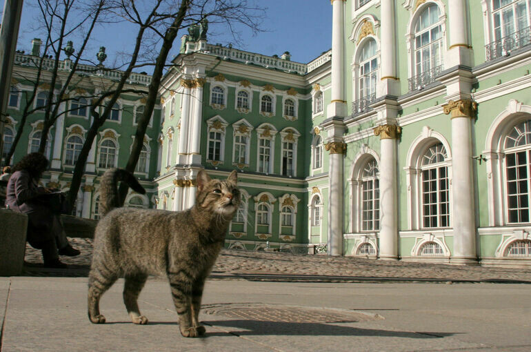   Игорь Самохвалов/ПГ