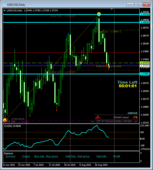 Желтый пунктир - Первая сделка сетки, от которой пошла просадка.