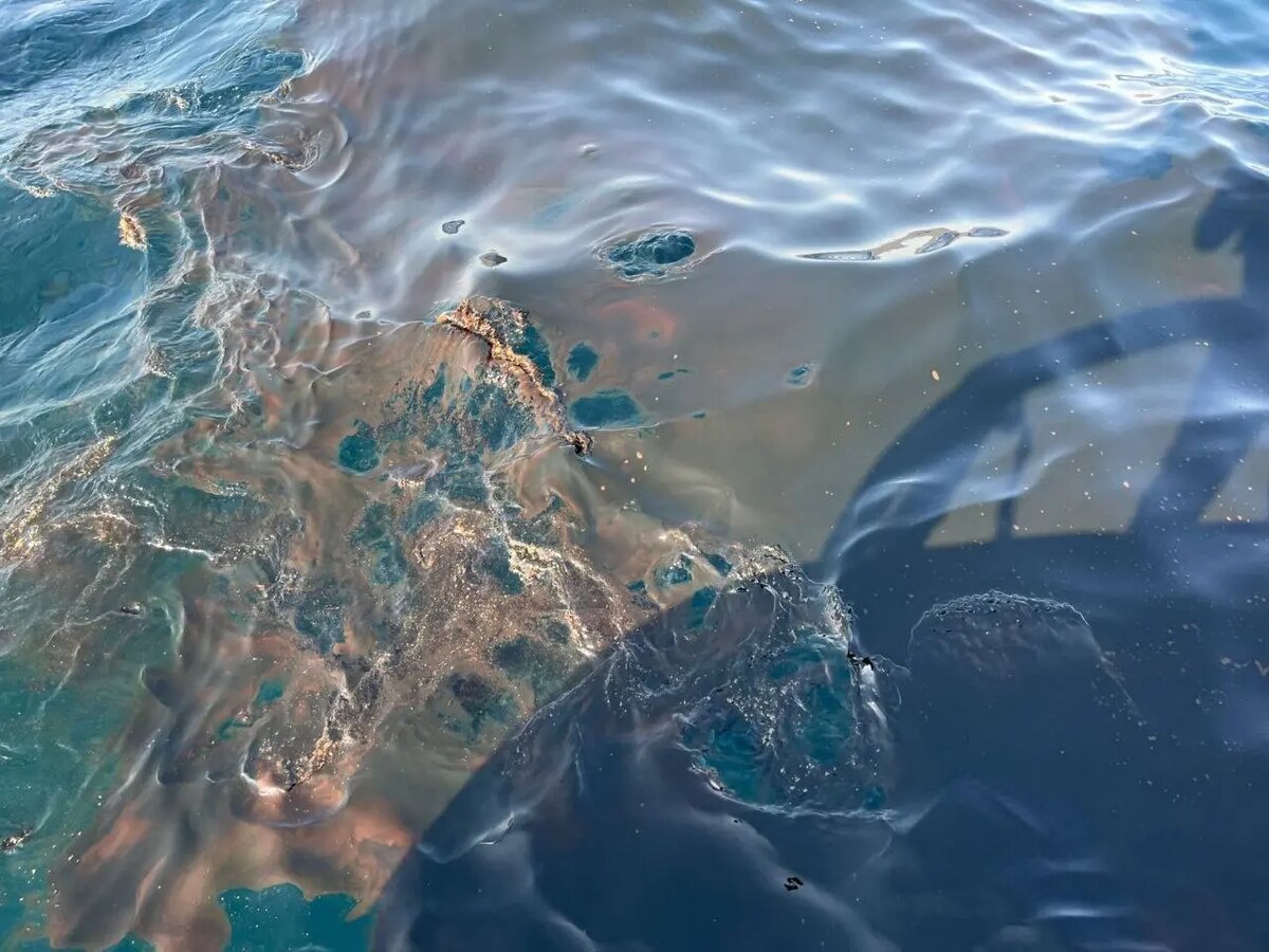    29 августа, фото: пресс-служба Росприроднадзора