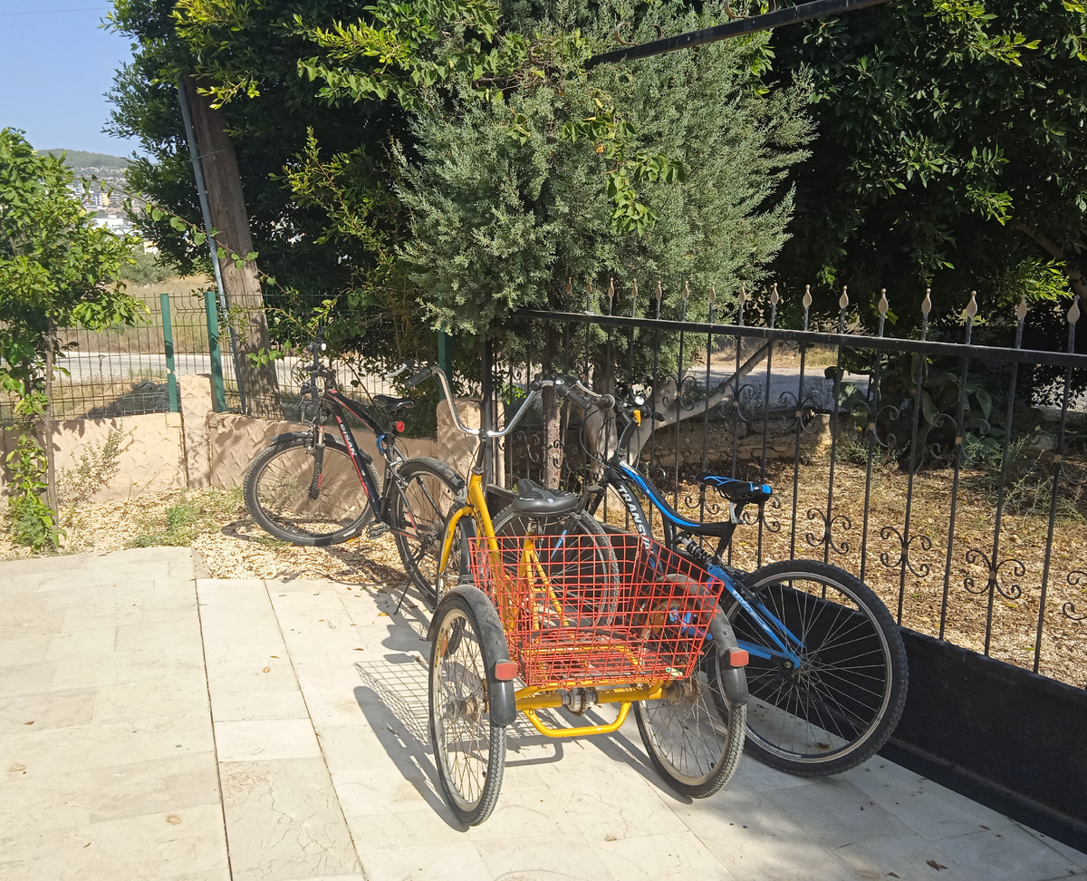 Наш велопарк сегодня