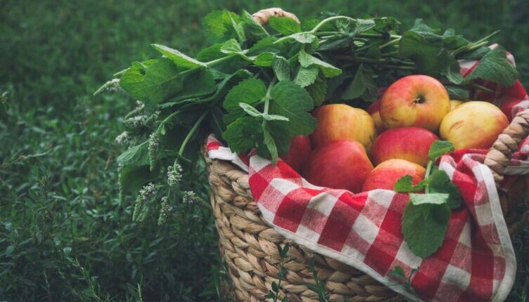     Фото: Anthony Ievlev on Unsplash