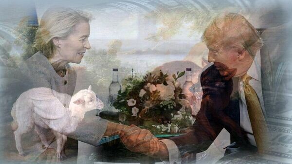    © Украина.ру