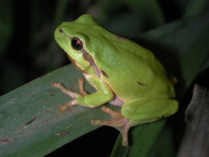 Поставь лайк!