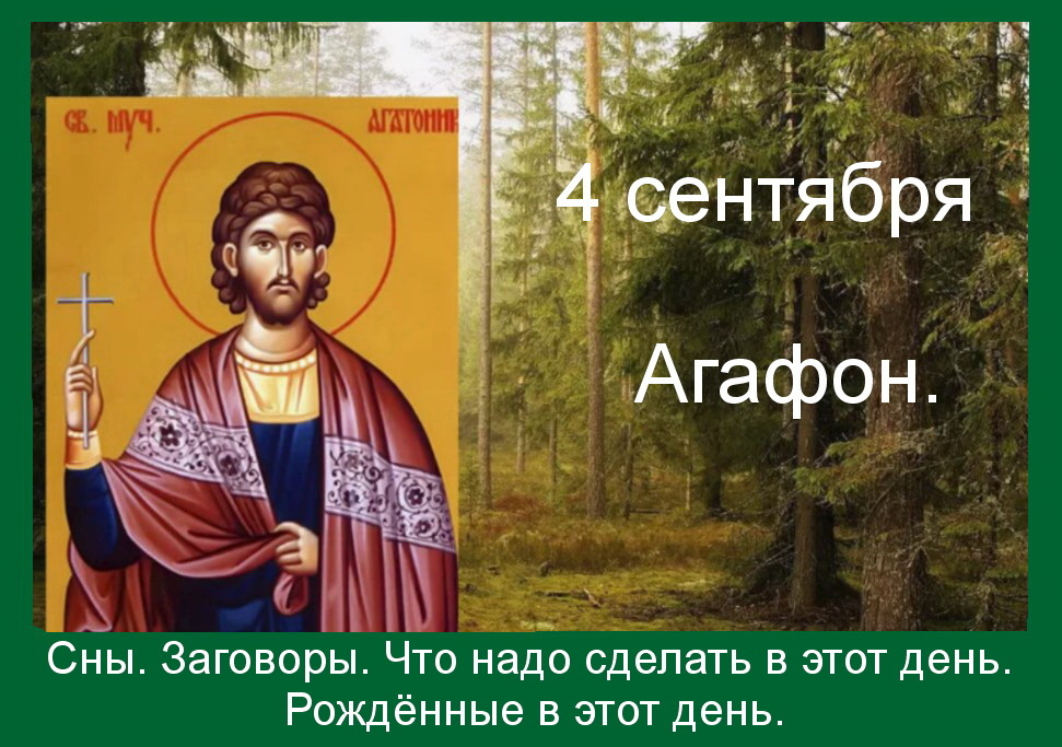 Источник - Яндекс картинки.