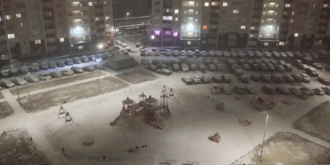Названа дата появления первого снега в Новосибирске в 2025 году