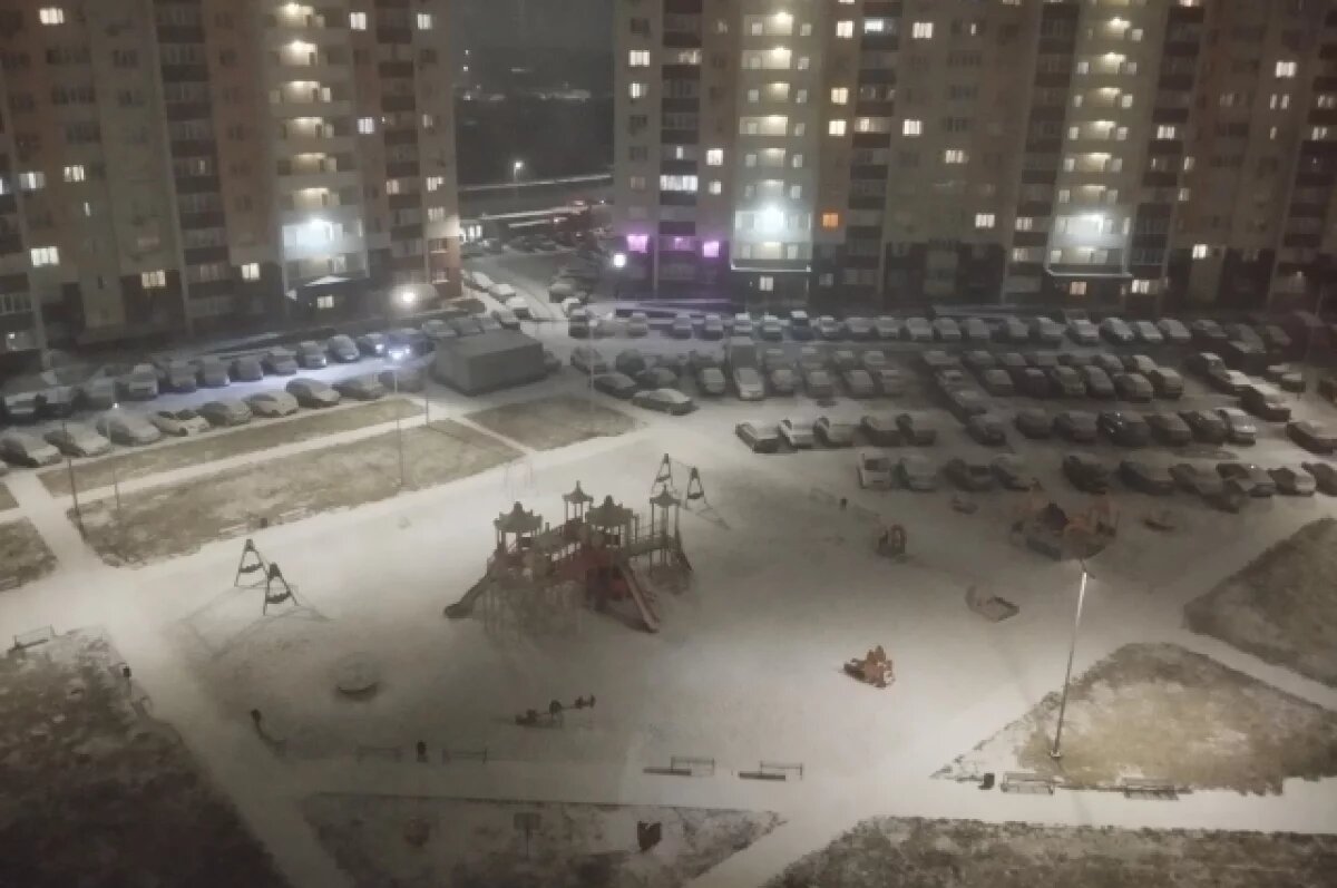    Названа дата появления первого снега в Новосибирске в 2025 году