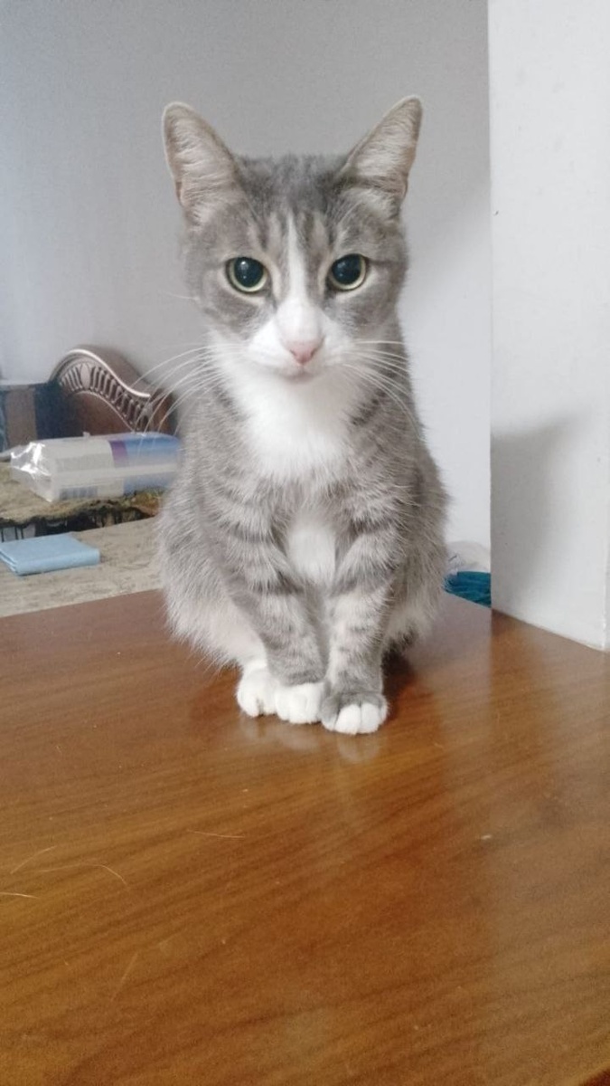 Ну и что же во мне не так?