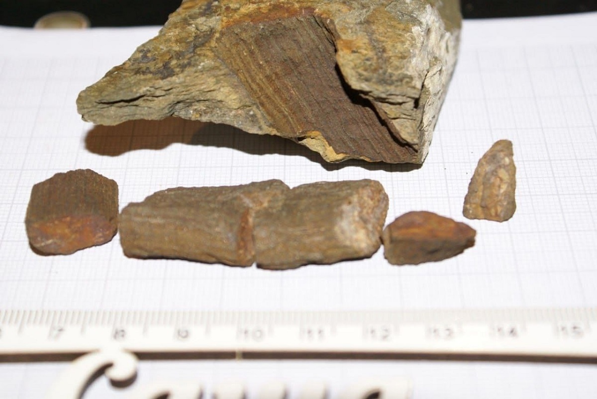    Фото: Территория Сибири: экскурсии и путешествия, источник: t.me/siberiaterritory