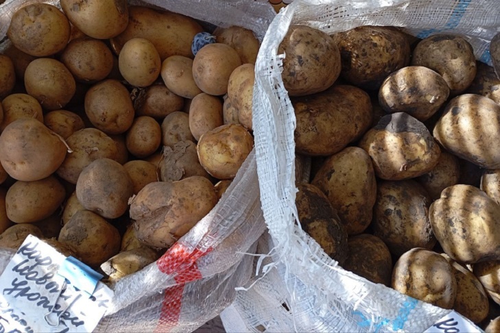 © Стоимость 1 кг картошки сейчас на рынках Новосибирска около 45 рублей. Фото VN.ru.📷
