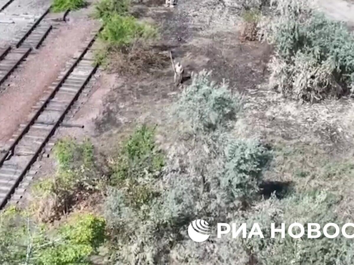    Кадры с солдатом ВСУ, пытавшимся сдаться в плен© Министерство обороны РФ