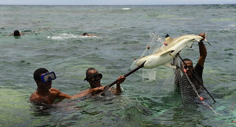    Norbert Eisele-Hein/imageBROKER.com / www.globallookpress.com