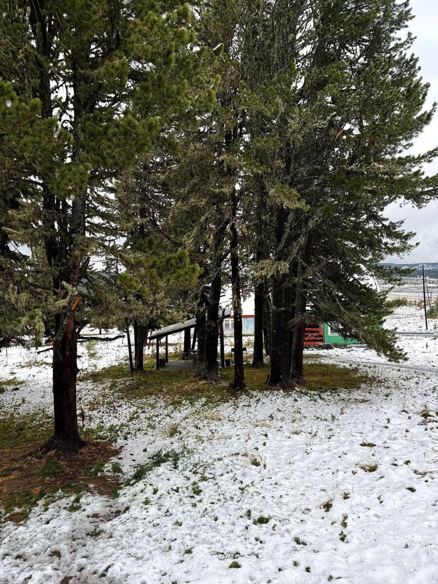    В последний день лета Семинский перевал накрыл снегопад. Источник: t.me/seminskiy_utc_altay