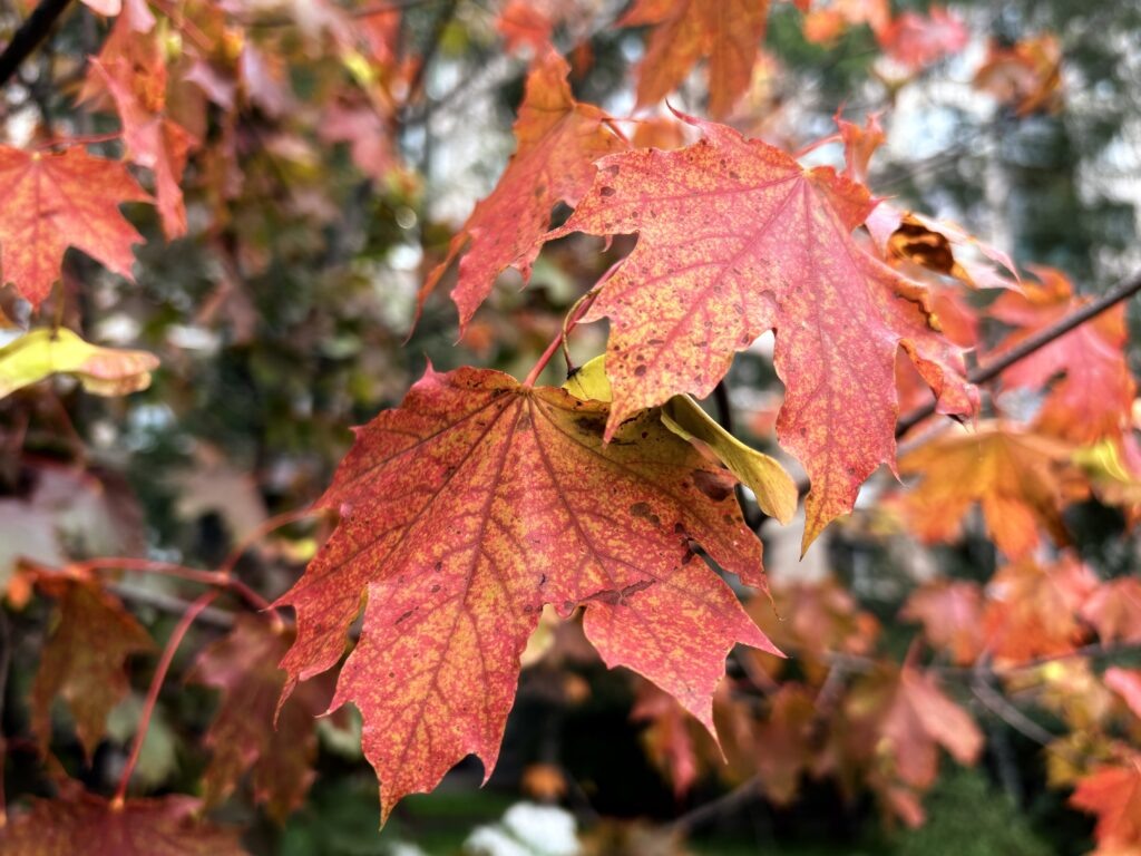    Фото: v-kurse.ru Ольга Гилёва