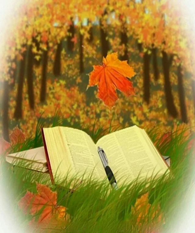 Взято с внешних источникв интернета.